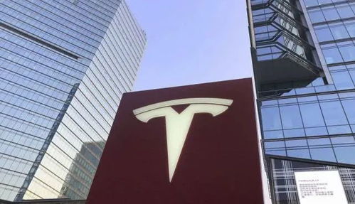 疫情逼火了“云卖车”，营销是否应有底线？——从一场企鹅a talk引发的思考