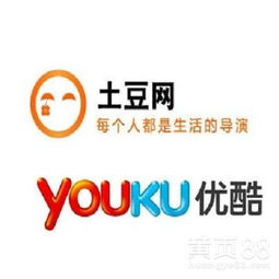 上海网站推广实战指南 本地化策略与高效获客之道